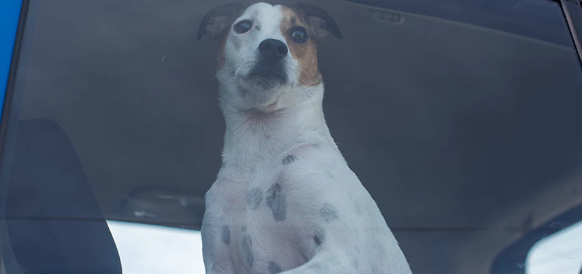 Car Lockout Solutions in El Granada, California